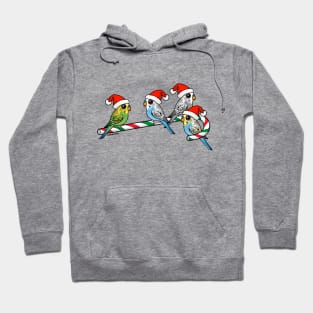 Christmas Budgies Hoodie